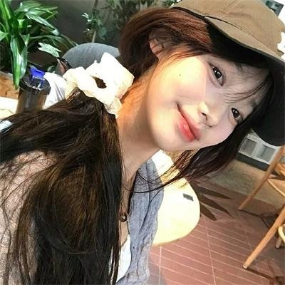 女王鲨封面
