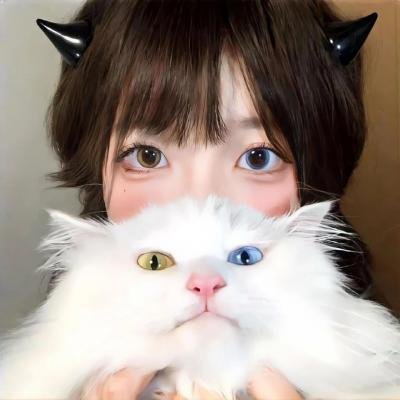 红色猎杀封面