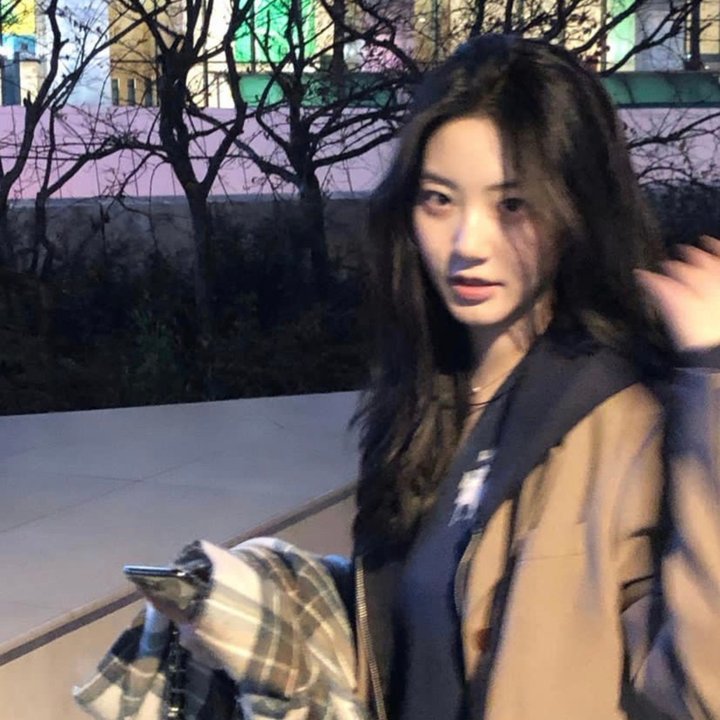 恐龙之子封面